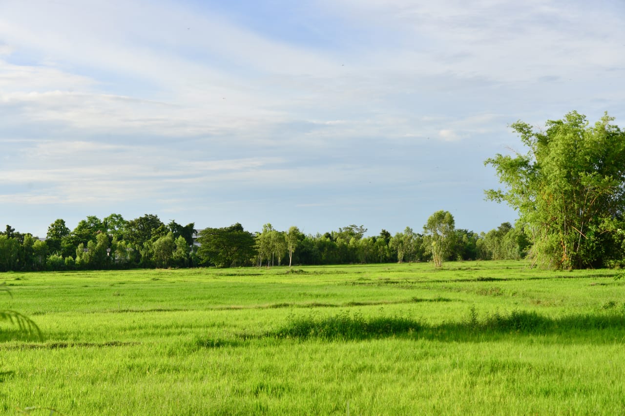 Land Banking